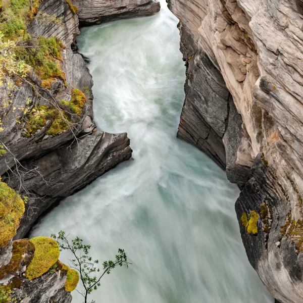 Rapids rush through an hourglass shaped passage in Jasper National Park, the largest national park in the Canadian Rockies.